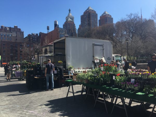 グリーンマーケット green market union square park