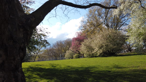 シルバーレイクパーク silver lake park 1